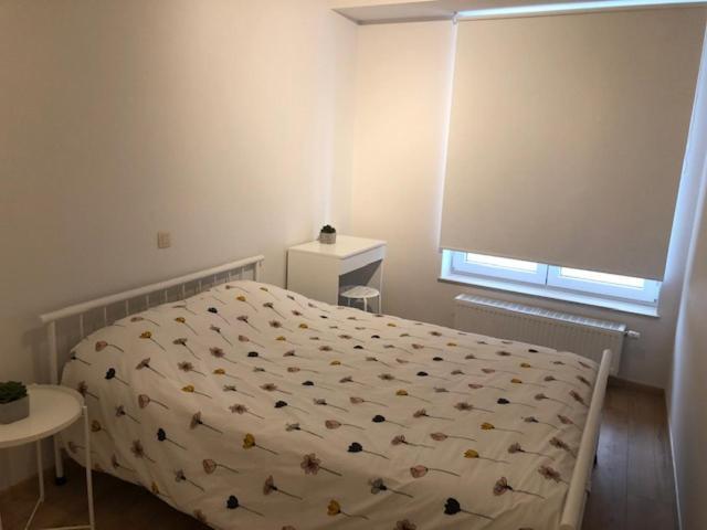 Vakantie Appartement Allure, Met Zuidgericht Tuintje Oostende Exterior foto